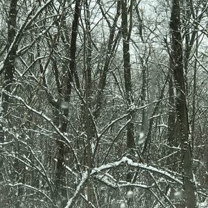 Meet your Posher, Philip